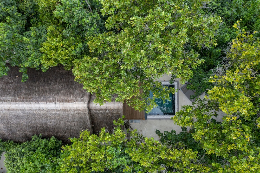 Beach Villa With Plunge Pool