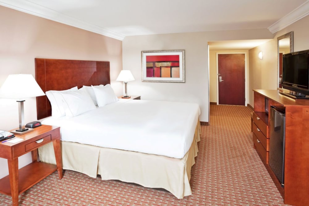 Standard Room, 1 King Bed, Roll-in Shower (Roll-In Shower) - Photo 4