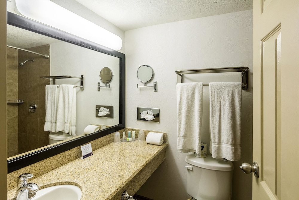 Standard Room, 1 King Bed, Non Smoking - Photo 5