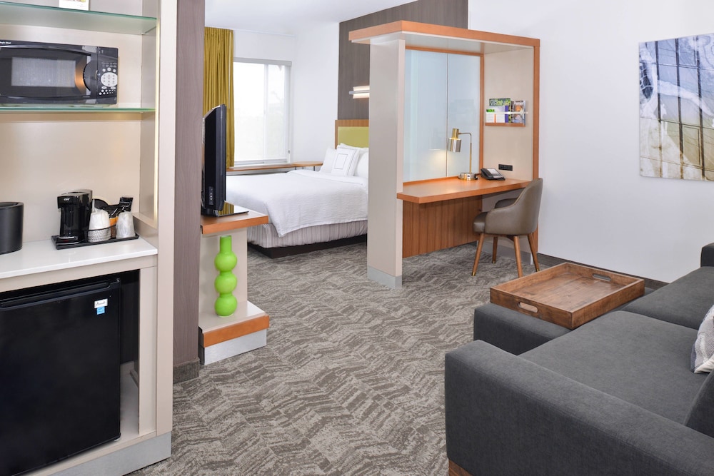 Suite, 1 King Bed - Photo 2