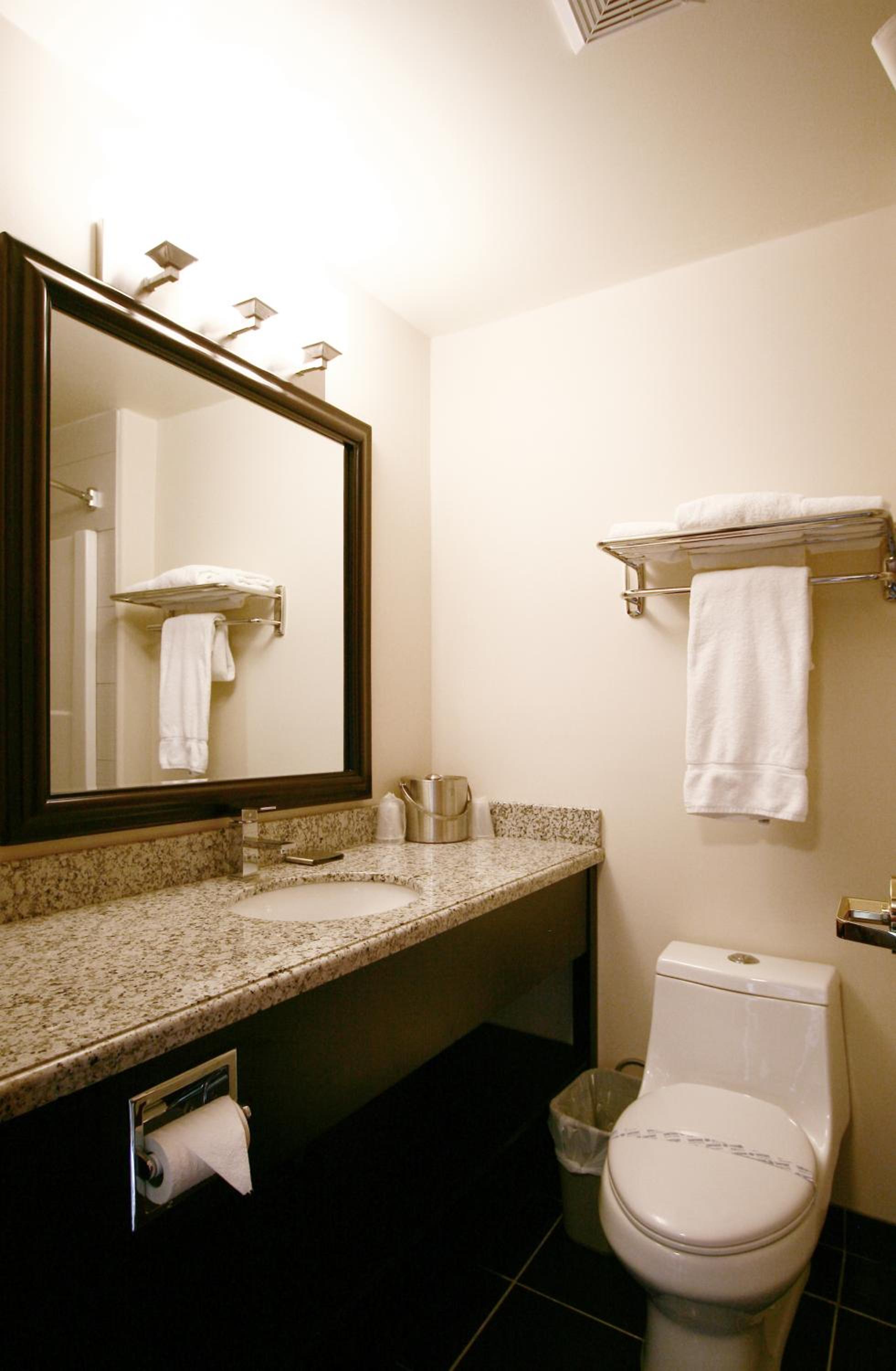 Deluxe Suite photo 3