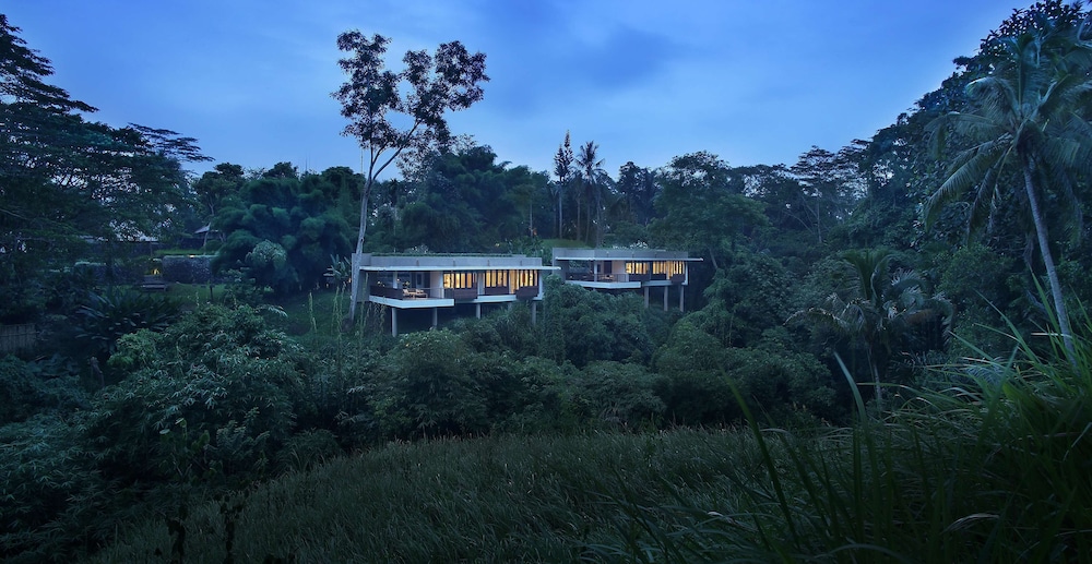 Villa (Forest Edge) - Photo 6