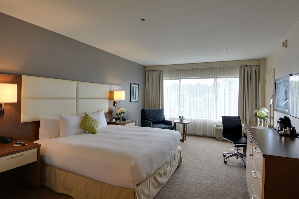 Classic Room, 1 King Bed, Accessible - Photo 3