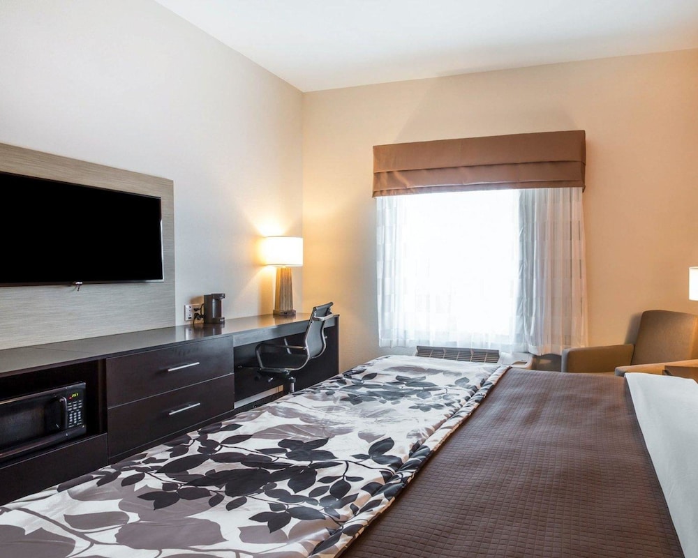 Standard Room, 1 King Bed, Non Smoking photo 2