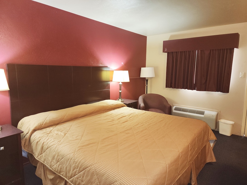 Comfort Single Room photo 1