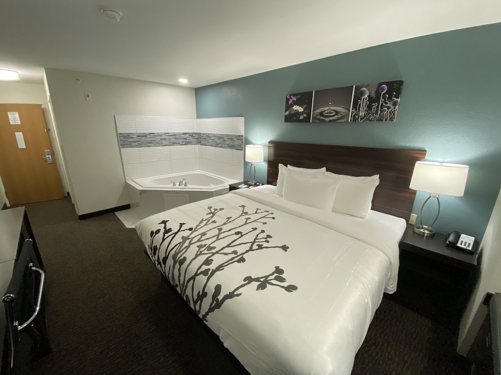 Suite, 1 King Bed, Non Smoking - Photo 3