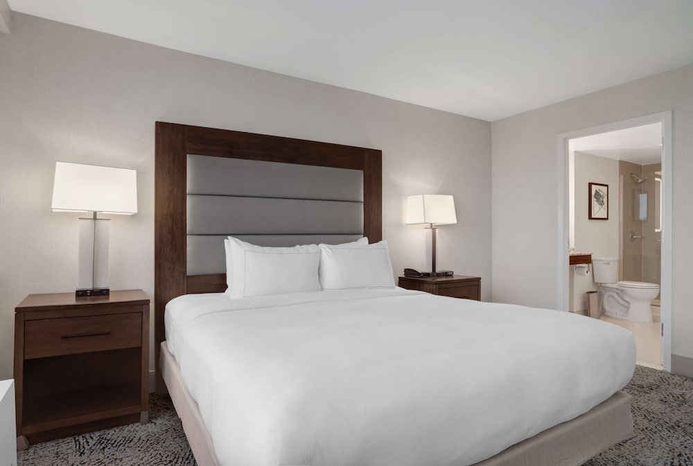 Junior Suite, One King Bed photo 3