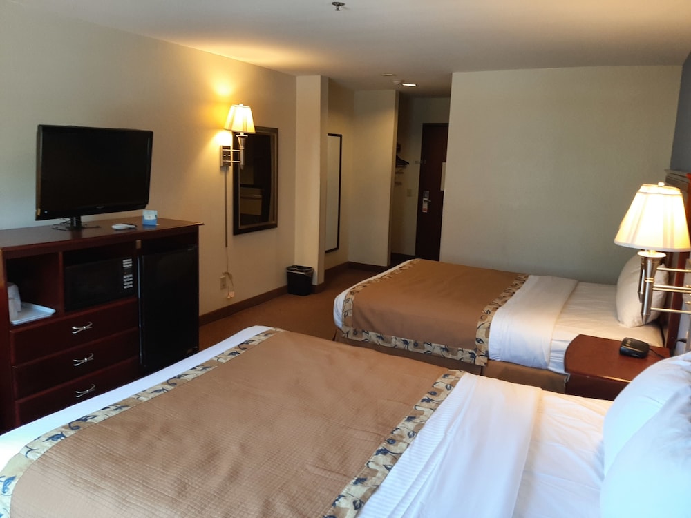 Comfort Double Room photo 2