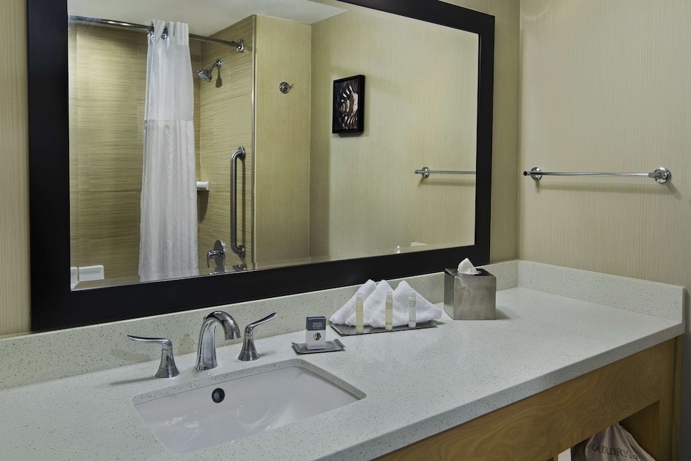 Room, 1 King Bed, Accessible - Photo 4