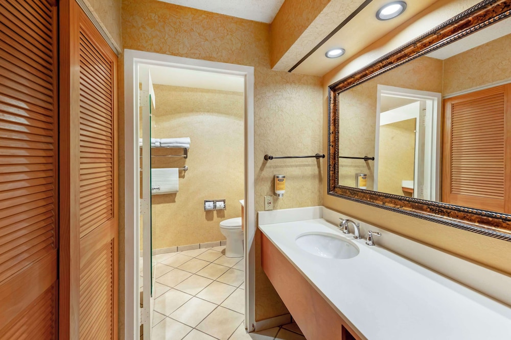 Superior Room, 1 King Bed, Non Smoking, Jetted Tub (Oversized Room;with Sofabed) - Photo 4