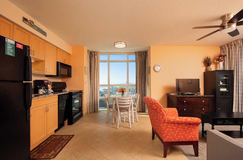 Basic Suite photo 2