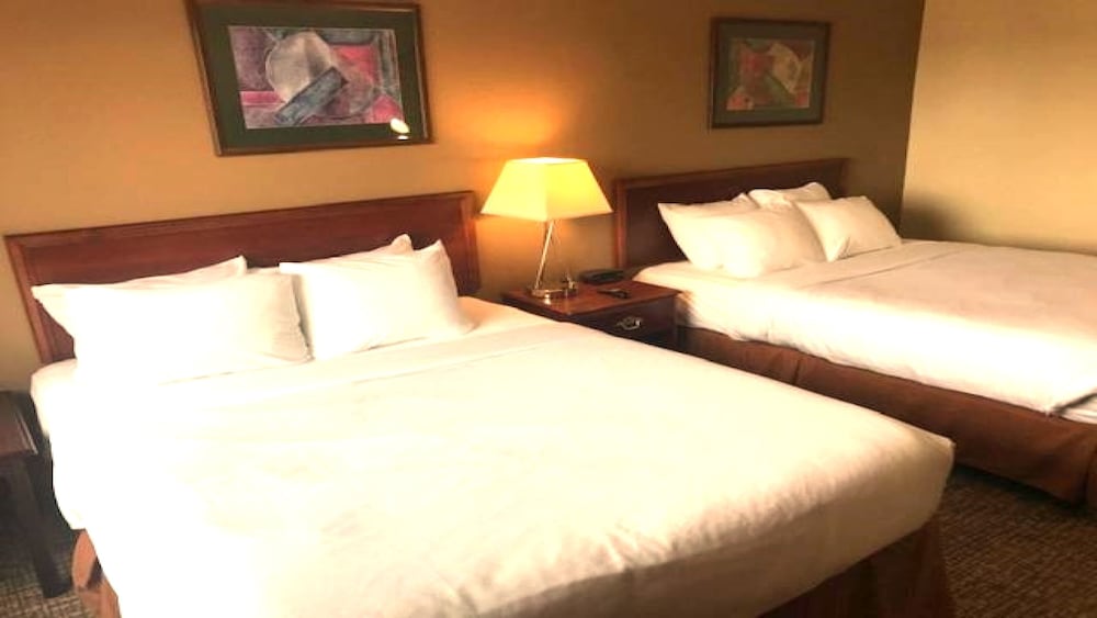 Studio Suite, Multiple Beds, Non Smoking