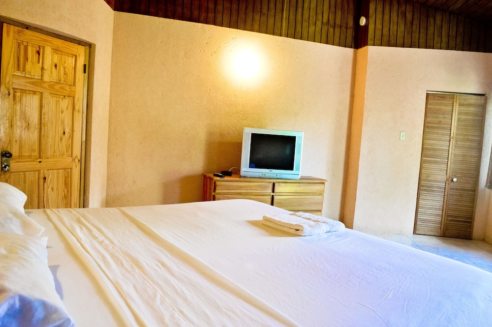 Room, Ocean View photo 3