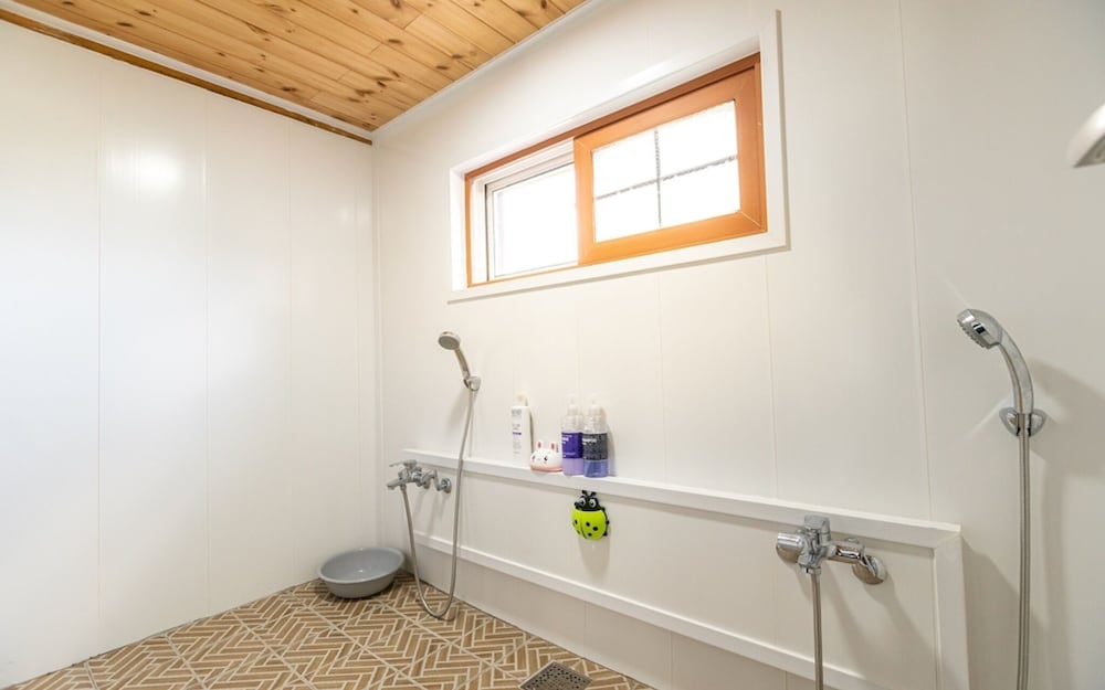 Room (Shared Dormitory Women only 6 Beds)
