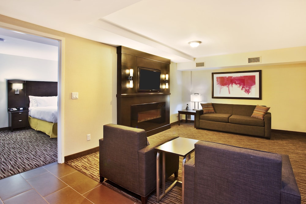 Suite, 1 King Bed, Accessible (Comm, Mobility, Roll Shwr) - Photo 1