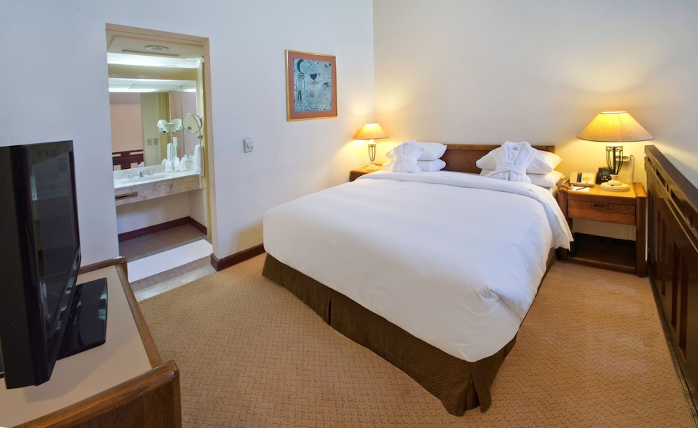 Suite, 1 King Bed (Ambassador) photo 2