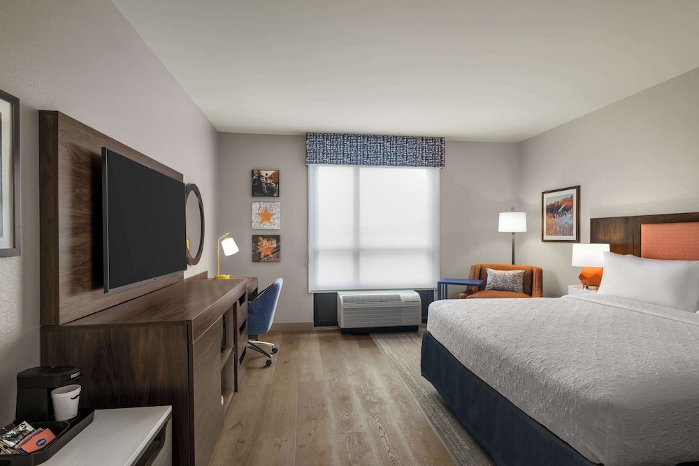 Room, 1 King Bed, Accessible, Bathtub (Mobility & Hearing) photo 3