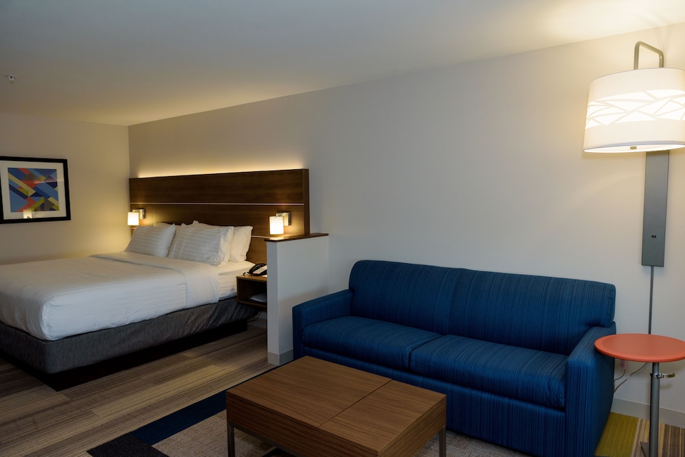 Suite, 1 King Bed, Accessible (Mobility, Transfer Shower), photo 6