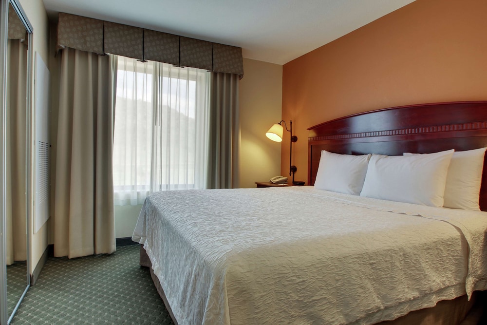 Suite, 1 Bedroom, Non Smoking photo 2