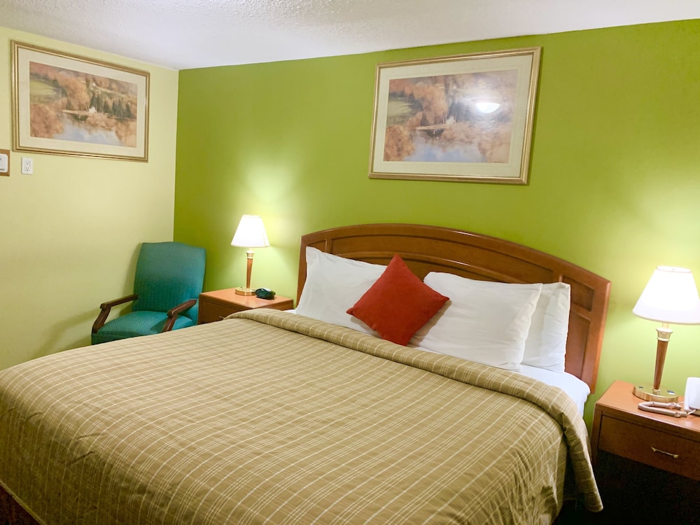 Superior Single Room, 1 King Bed photo 3