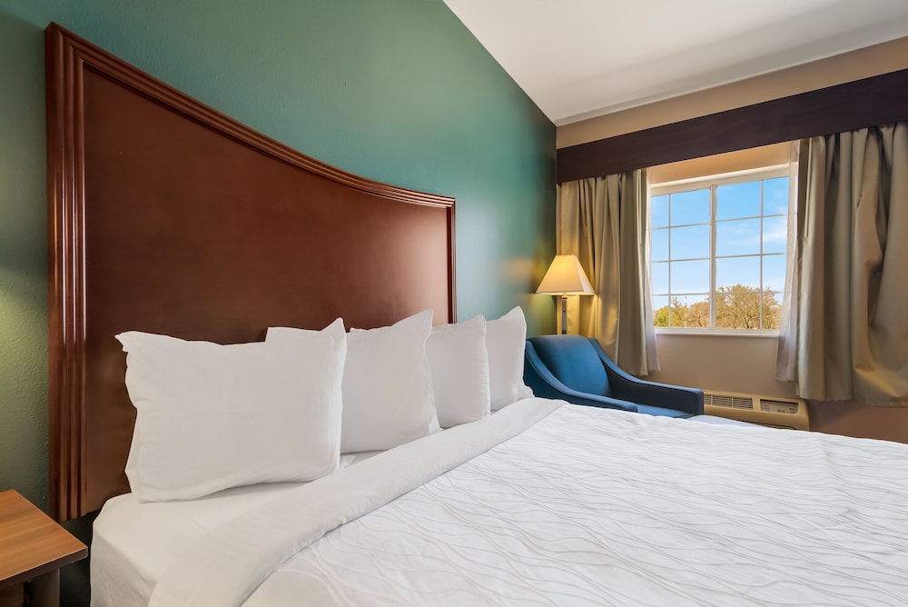 Standard Room, 1 King Bed, Non Smoking, Refrigerator & Microwave (Larger Room) - Photo 3