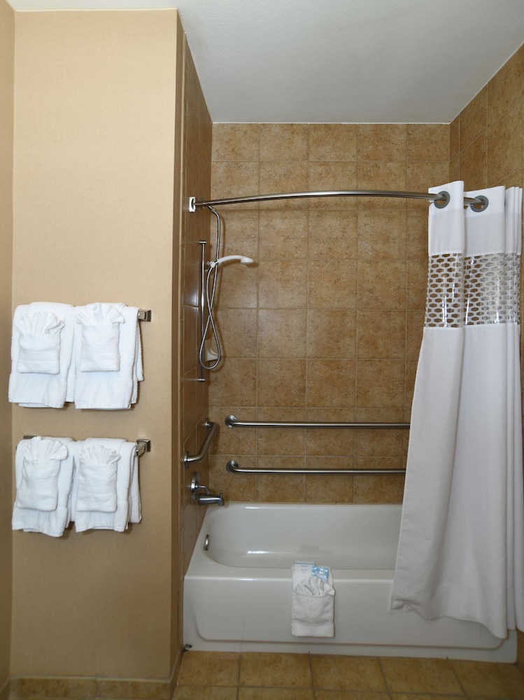 Room, 1 King Bed, Accessible - Photo 14