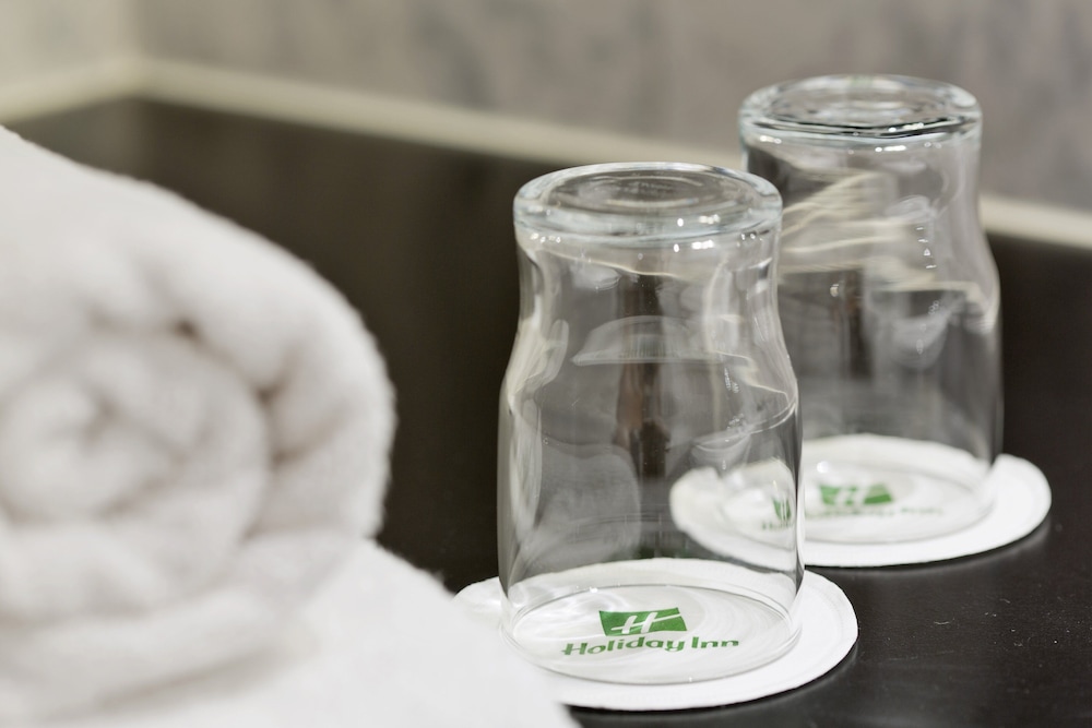 Holiday Inn Vienna City, et IHG Hotel, Billede 9