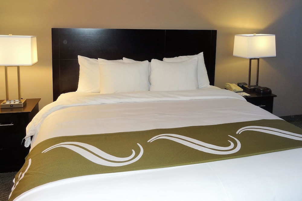 Room, 1 King Bed, Smoking photo 1