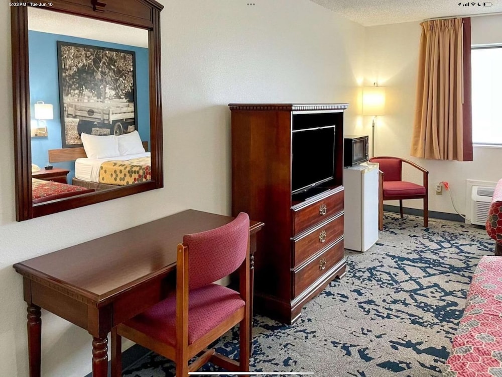 Basic Single Room photo 3