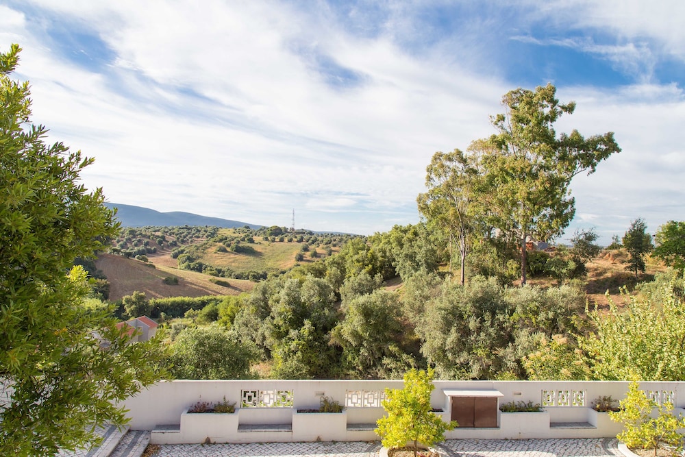 Double or Twin Room, Balcony, Mountain View photo 2
