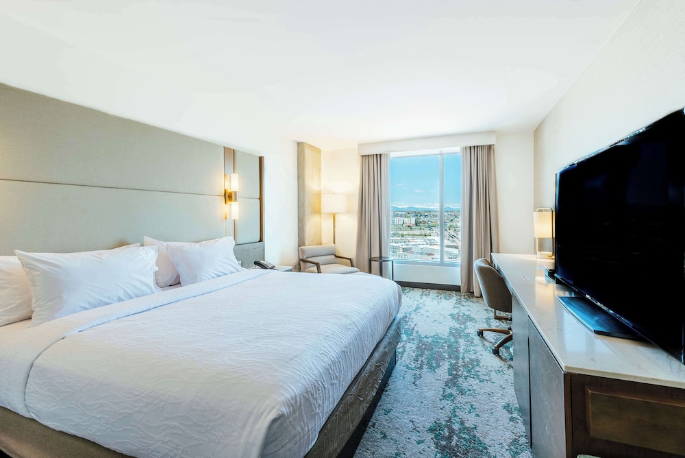 Room, 1 King Bed, Mountain View
