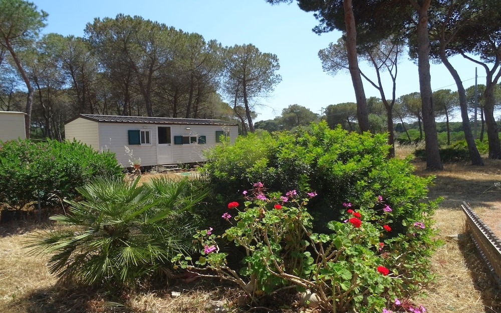 Comfort Mobile Home, 2 Bedrooms, Kitchen, Garden View photo 1