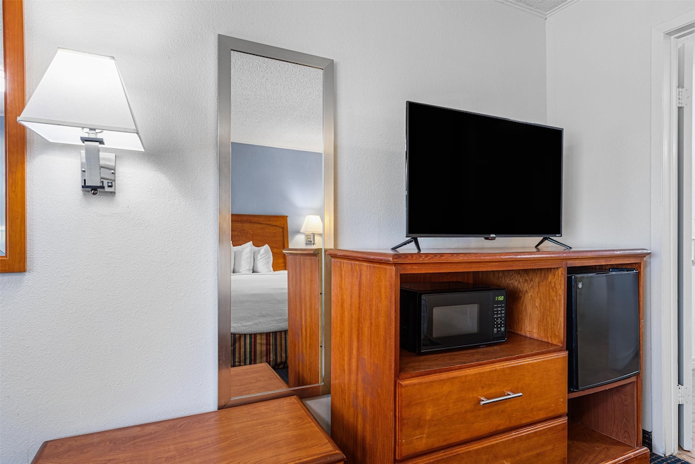 Standard Room, 1 Queen Bed, Accessible, Refrigerator & Microwave (with Single Sofabed) - Photo 3