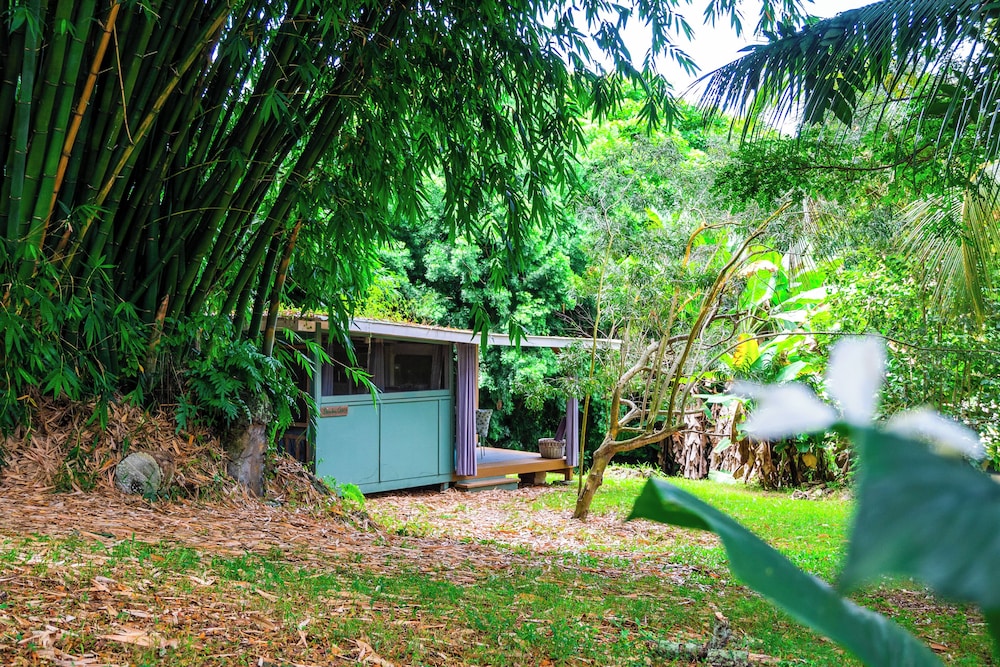 Bamboo Cabin photo 1