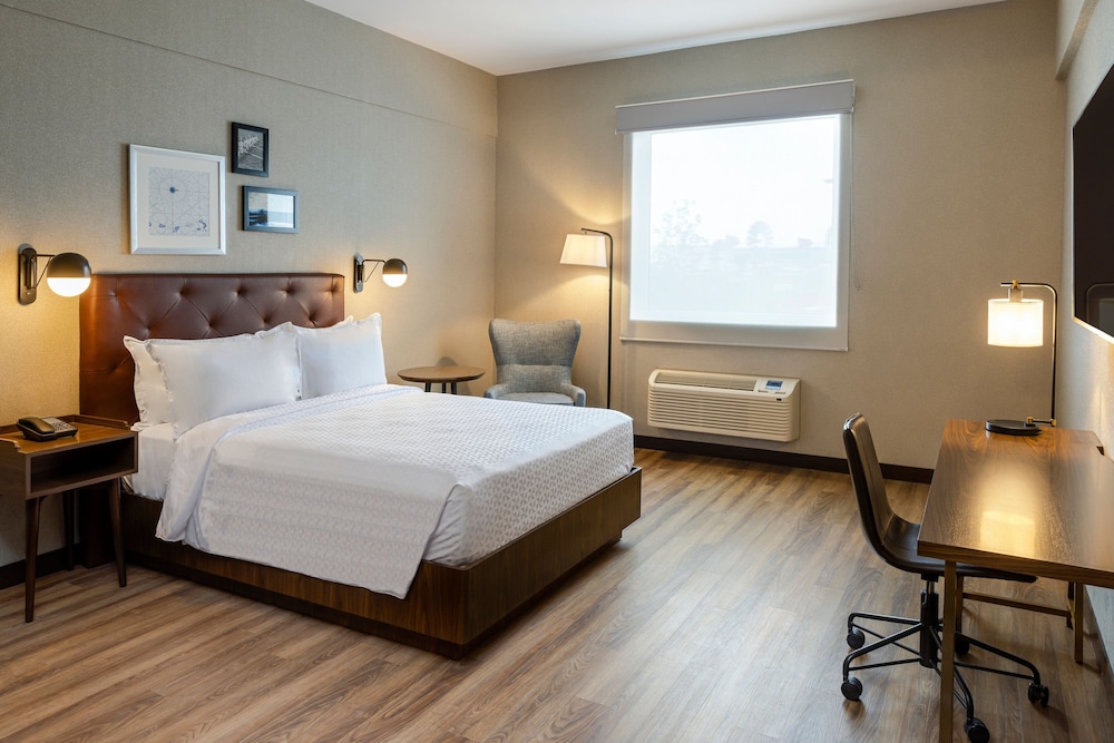 Room, 1 Queen Bed