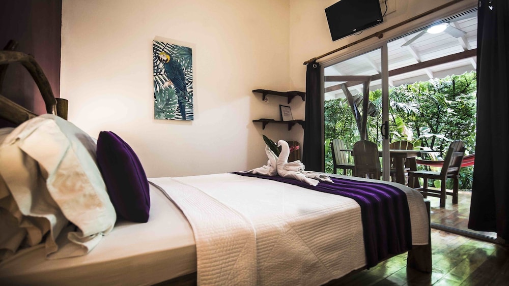 Room, 1 Queen Bed, Kitchenette photo 3