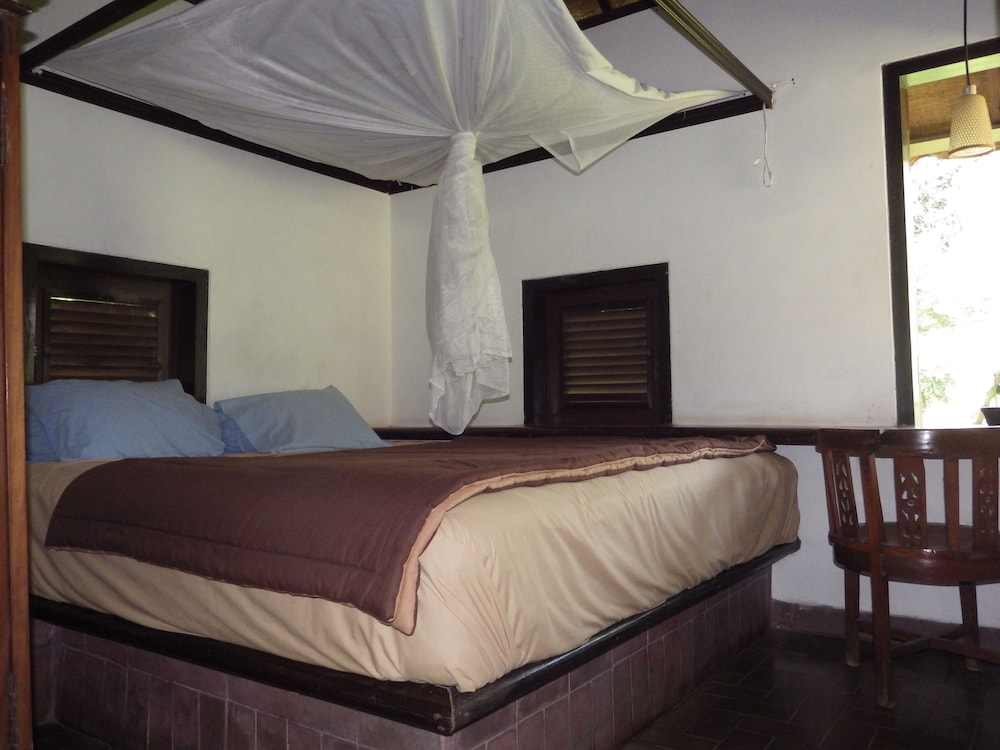 Classic Room - Photo 7
