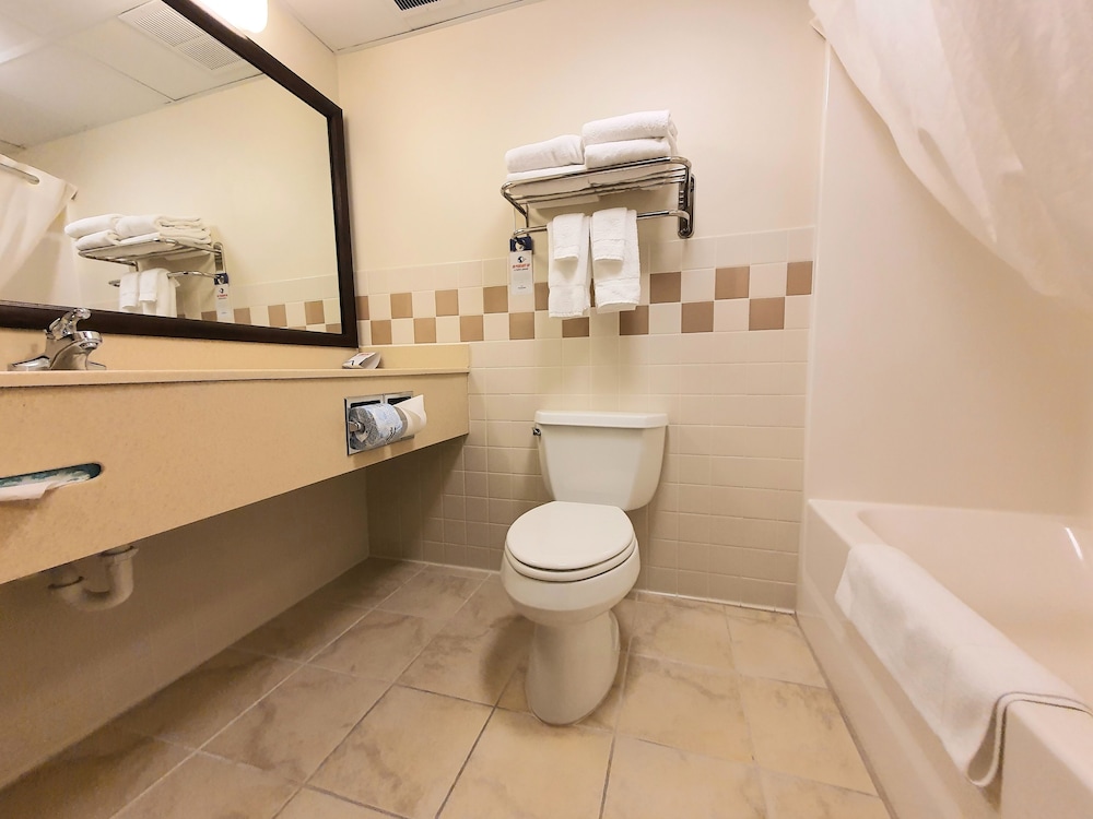 Elite Room, 1 King Bed, Jetted Tub, Fireplace, Accessible, Non-Smoking - Photo 4