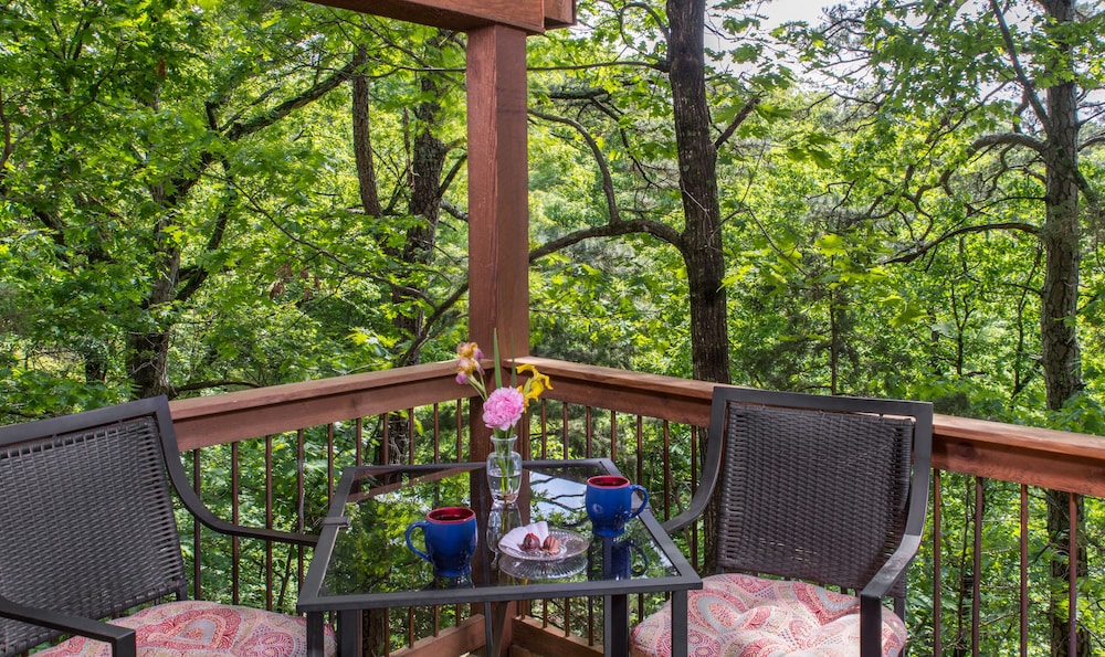 Deluxe Cabin photo 3
