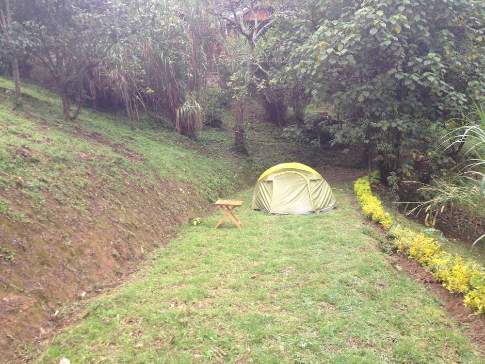 Basic Tent photo 2