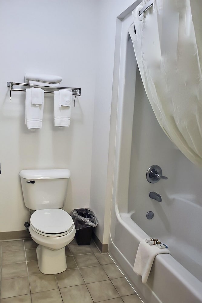 Suite photo 3