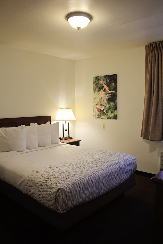 Family Suite photo 3