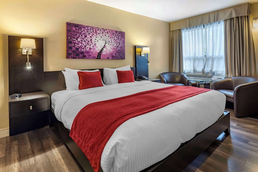 Standard Room, 1 King Bed, Non Smoking - Photo 1