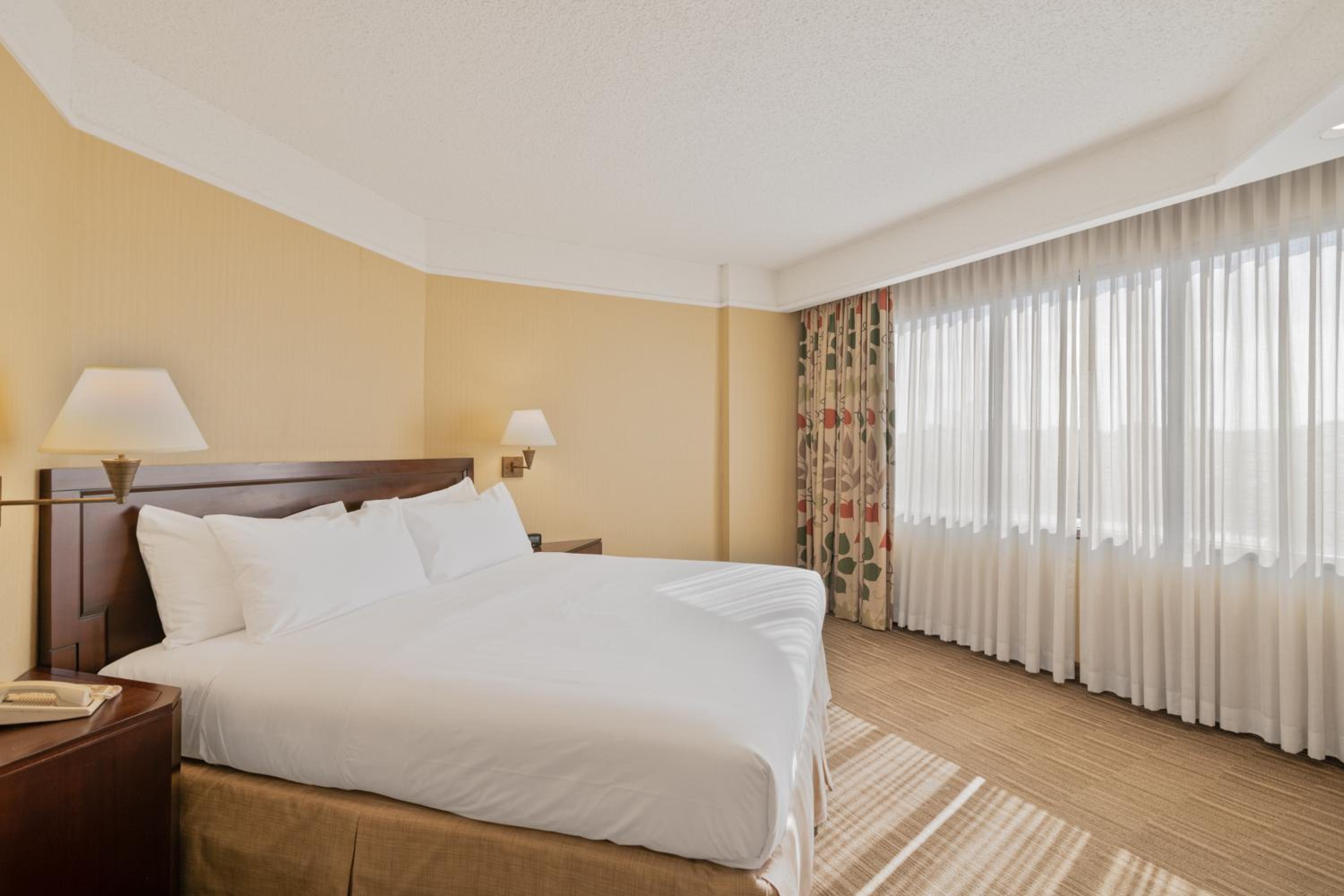 Superior King Suite - Photo 8