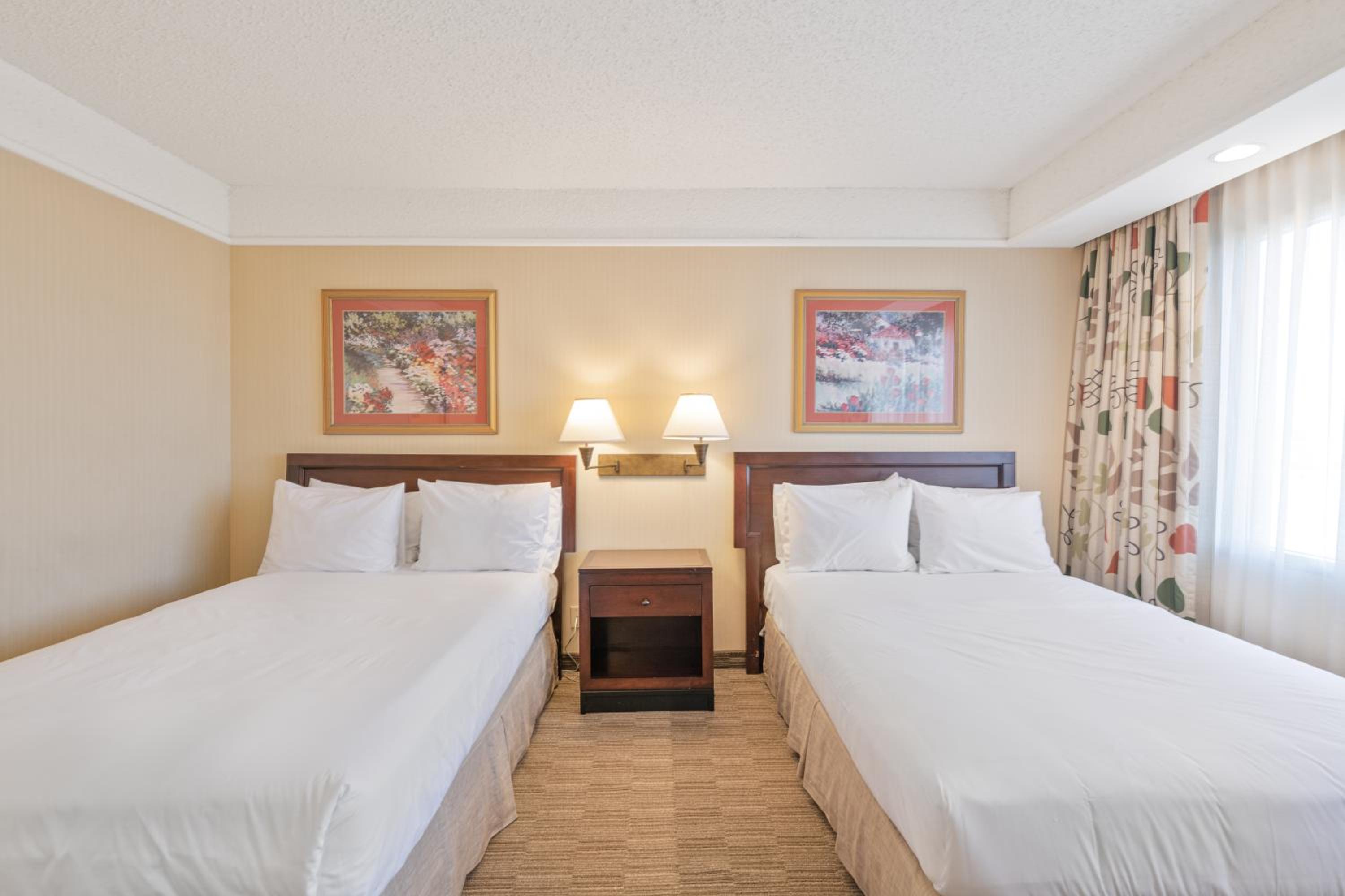 Superior Suite - Photo 1