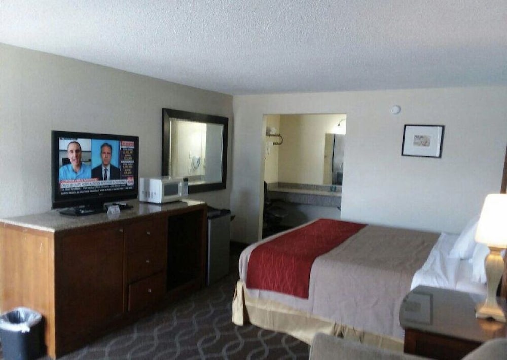 Single Room photo 1