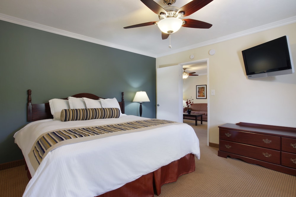 Suite, 1 King Bed, Jetted Tub photo 3