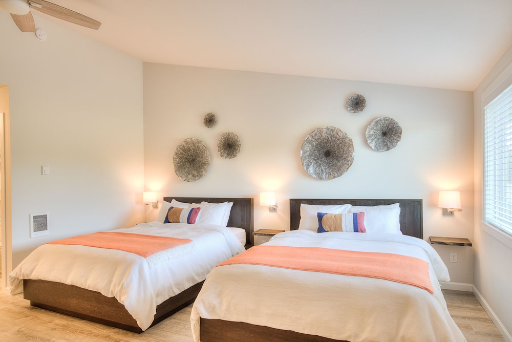 Basic Studio, 2 Queen Beds photo 1