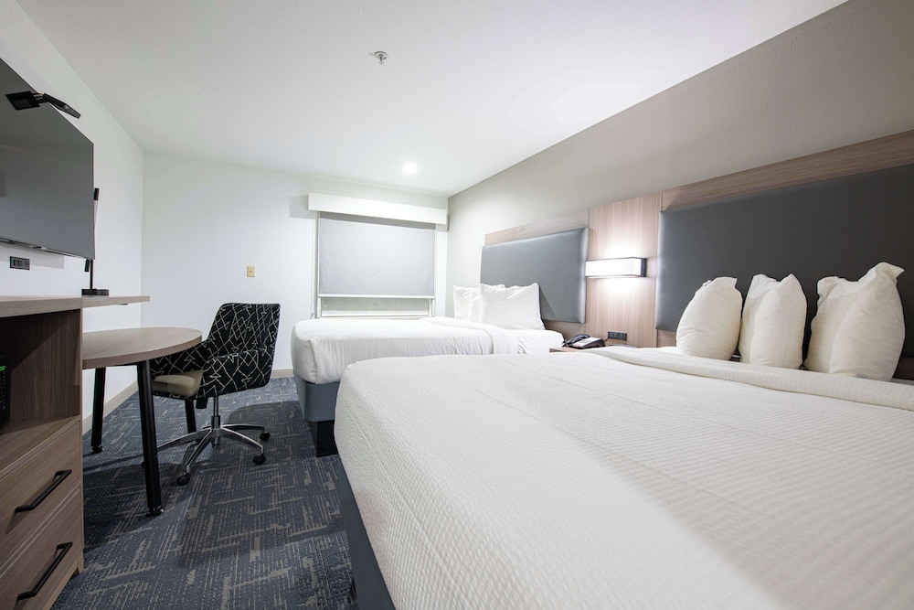 Standard Room, 2 Queen Beds, Accessible, Refrigerator & Microwave - Photo 1