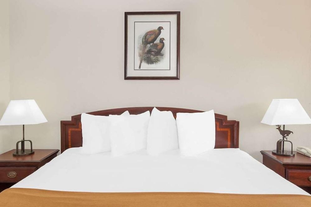 Room, 1 King Bed, Non Smoking photo 3